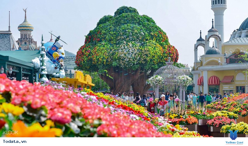 Trải nghiệm Everland Hàn Quốc Hình ảnh 2