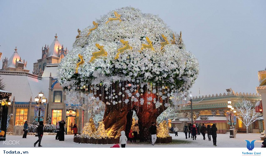 Trải nghiệm Everland Hàn Quốc Hình ảnh 4