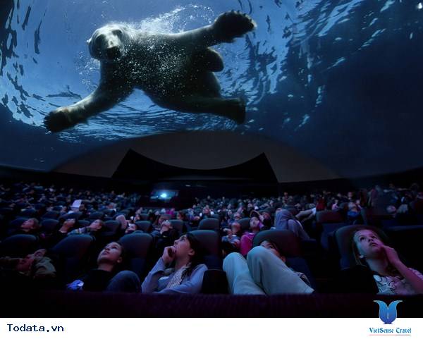 Trung tâm khoa học Singapore và rạp chiếu phim Omi, nơi truyền cảm hứng cho du khách Hình ảnh 2