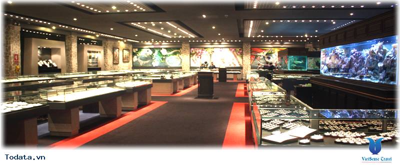 Trung tâm vàng bạc đá quý World Gems Collection Hình ảnh 3 Trung tâm vàng bạc đá quý World Gems Collection Hình ảnh 3