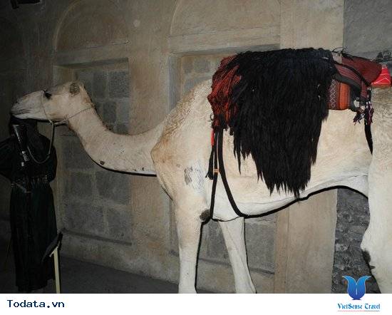 Tượng sáp tái hiện hoạt động đời thời của người dân Duabai thời xa xưa Hình ảnh 15 Tượng sáp tái hiện hoạt động đời thời của người dân Duabai thời xa xưa Hình ảnh 15