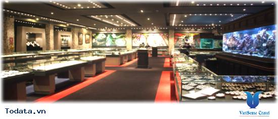 Vật may mắn tại Trung Tâm Vàng Bạc Đá Quý Hình ảnh 3 Vật may mắn tại Trung Tâm Vàng Bạc Đá Quý Hình ảnh 3