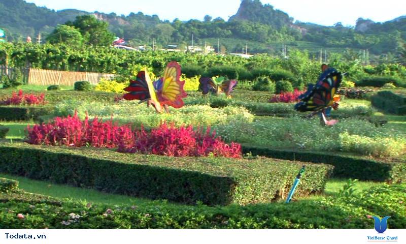 Vẻ đẹp hút hồn của vườn nho Silver Lake Hình ảnh 2 Vẻ đẹp hút hồn của vườn nho Silver Lake Hình ảnh 2