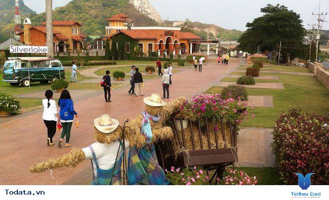 Vẻ đẹp hút hồn của vườn nho Silver Lake Hình ảnh 3 Vẻ đẹp hút hồn của vườn nho Silver Lake Hình ảnh 3