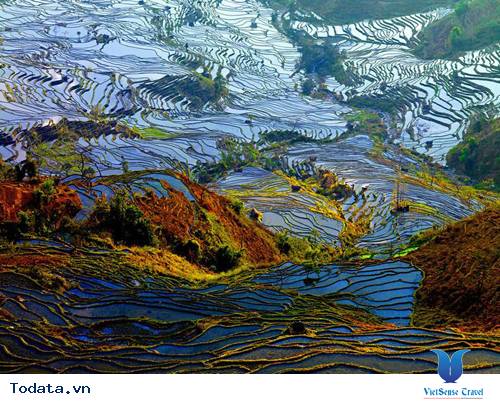 Vẻ Đẹp Kiêu Sa Của  Quần Thể Ruộng Bậc Thang Nguyên Dương Hình ảnh 4