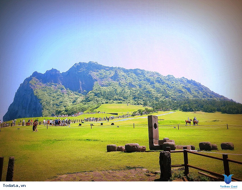 Vẻ Đẹp Seongsan Sunrise Hình ảnh 6