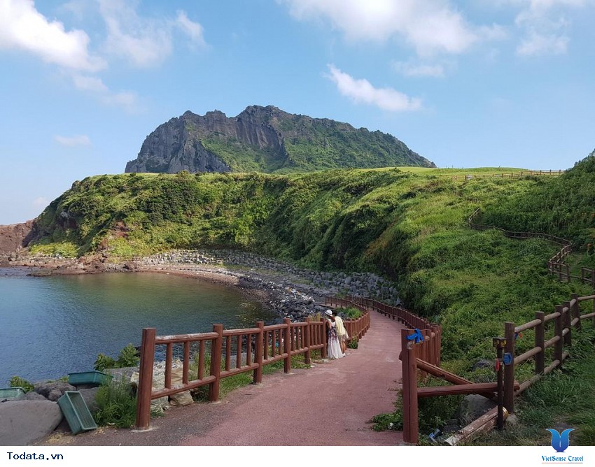 Vẻ Đẹp Seongsan Sunrise Hình ảnh 3