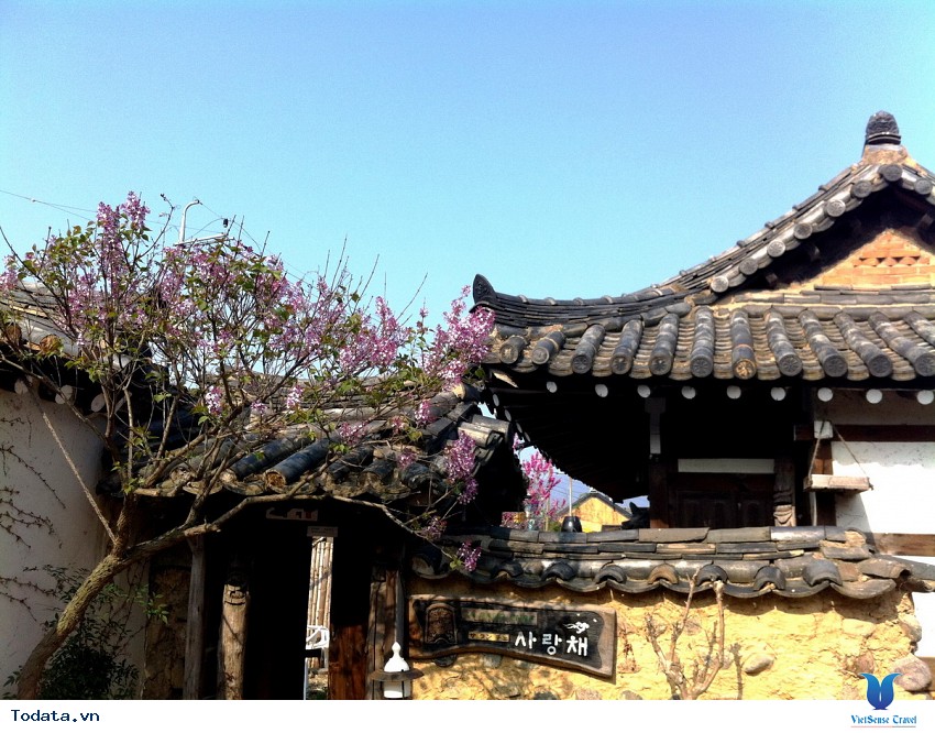 Vẻ Đẹp Thành Phố Gyeongju Hình ảnh 3