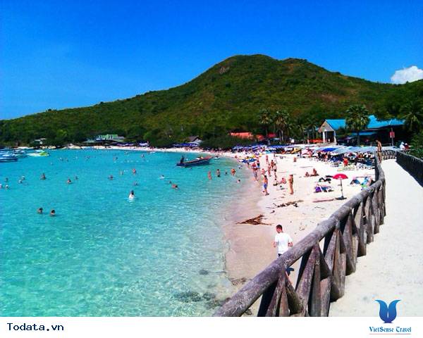 Vẻ đẹp thiên nhiên hoang sơ tại đảo Coral Hình ảnh 2