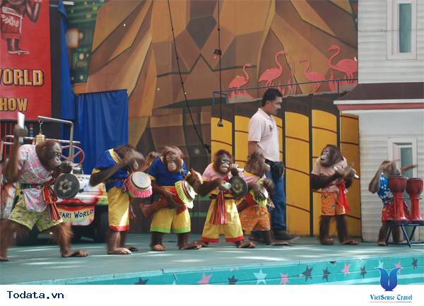 Vẻ đẹp tự nhiên ở công viên Safari World Hình ảnh 3