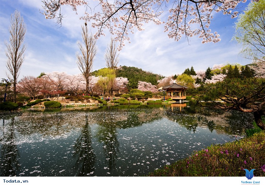 Vọng lâu Bomun nằm ở thành phố Gyeongju Hàn Quốc Hình ảnh 2 Vọng lâu Bomun nằm ở thành phố Gyeongju Hàn Quốc Hình ảnh 2