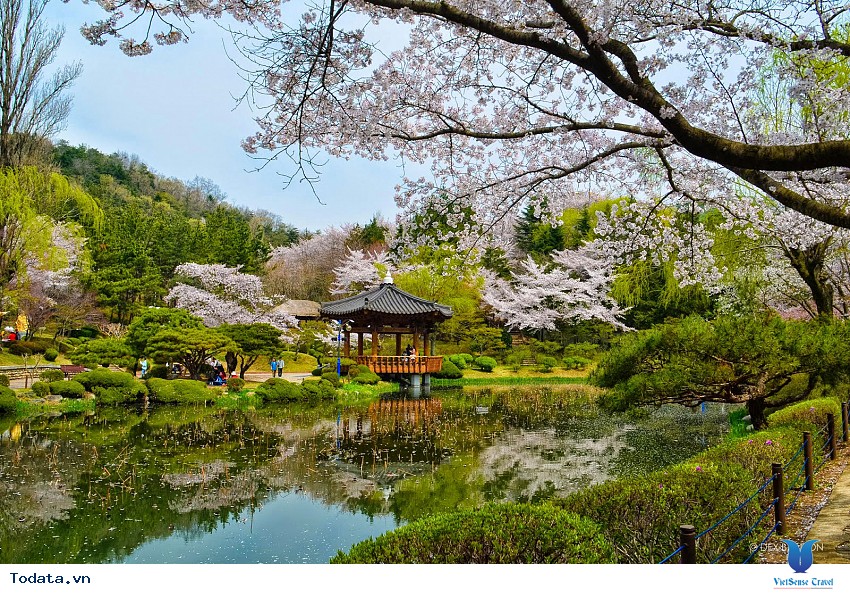 Vọng lâu Bomun nằm ở thành phố Gyeongju Hàn Quốc Hình ảnh 4 Vọng lâu Bomun nằm ở thành phố Gyeongju Hàn Quốc Hình ảnh 4