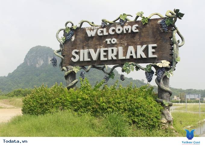 Vườn nho giống ngoại ô châu Âu ở Pattaya Hình ảnh 4 Vườn nho giống ngoại ô châu Âu ở Pattaya Hình ảnh 4