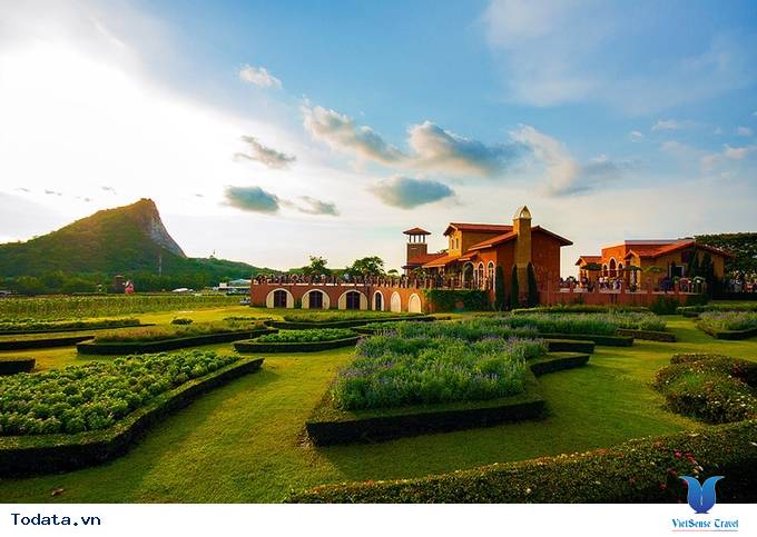 Vườn nho giống ngoại ô châu Âu ở Pattaya Hình ảnh 5 Vườn nho giống ngoại ô châu Âu ở Pattaya Hình ảnh 5