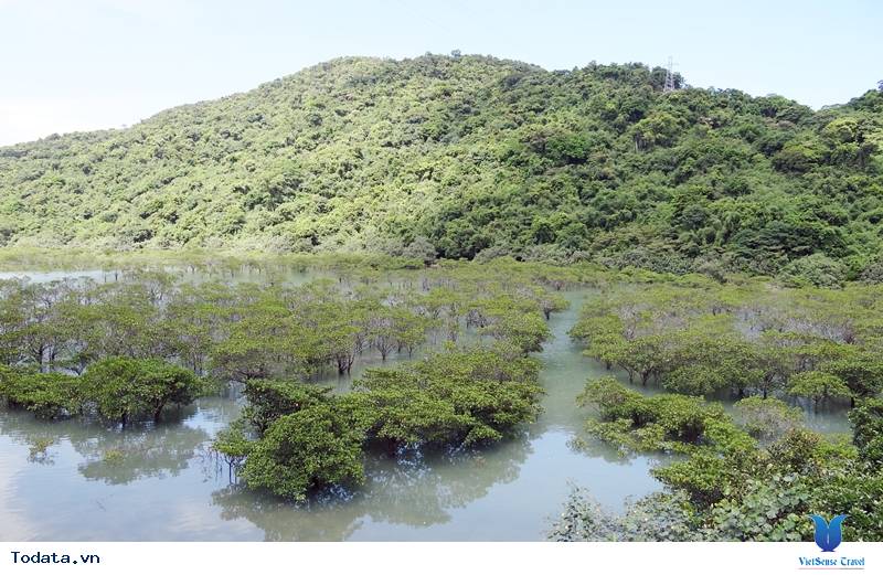 Vườn Quốc Gia Bái Tử Long Hình ảnh 3