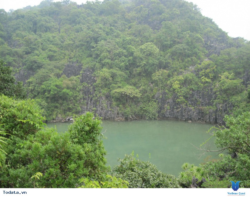 Vườn Quốc Gia Bái Tử Long Hình ảnh 7