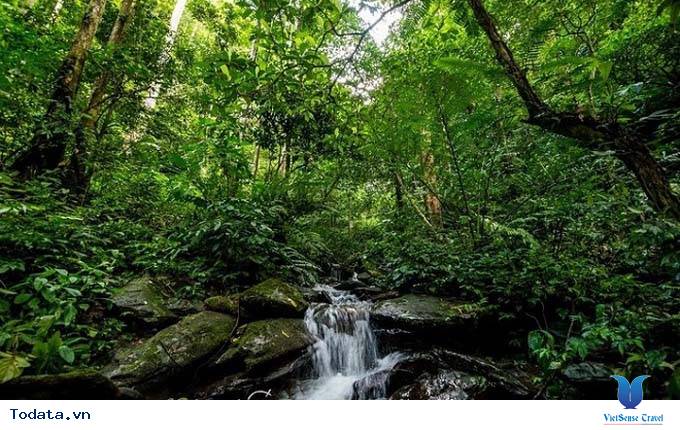 Vườn Quốc Gia Pù Mát Hình ảnh 10 Vườn Quốc Gia Pù Mát Hình ảnh 10