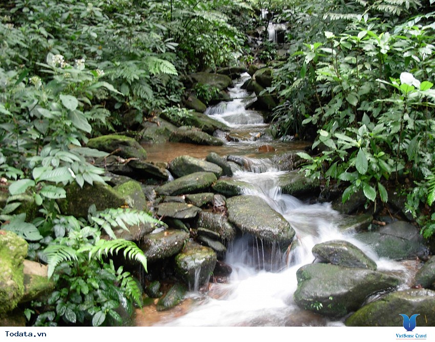 Vườn Quốc Gia Pù Mát Hình ảnh 5 Vườn Quốc Gia Pù Mát Hình ảnh 5