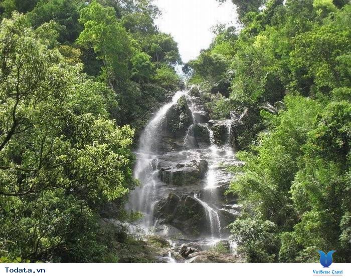 Vườn Quốc Gia Pù Mát Hình ảnh 4 Vườn Quốc Gia Pù Mát Hình ảnh 4