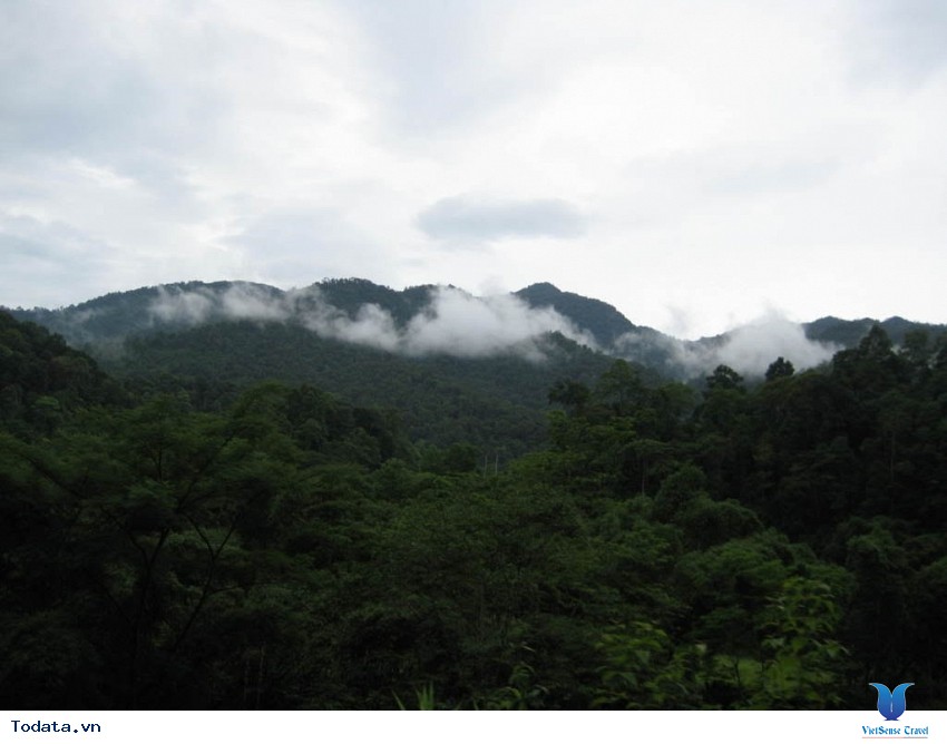 Vườn Quốc Gia Pù Mát Hình ảnh 1 Vườn Quốc Gia Pù Mát Hình ảnh 1