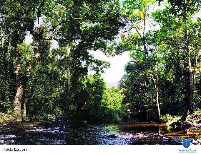 Vườn Quốc Gia Pù Mát Hình ảnh 2 Vườn Quốc Gia Pù Mát Hình ảnh 2