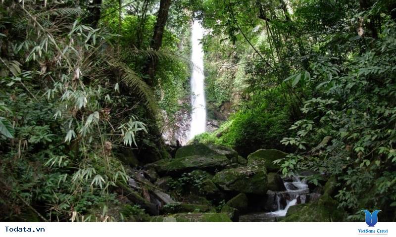 Vườn Quốc Gia Pù Mát Hình ảnh 12 Vườn Quốc Gia Pù Mát Hình ảnh 12