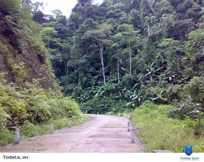 Vườn Quốc Gia Pù Mát Hình ảnh 7 Vườn Quốc Gia Pù Mát Hình ảnh 7