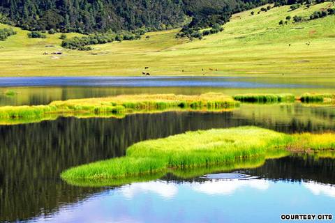 Vườn Quốc Gia Pudaco, Bản Giao Hưởng Của Thiên Nhiên Hình ảnh 4