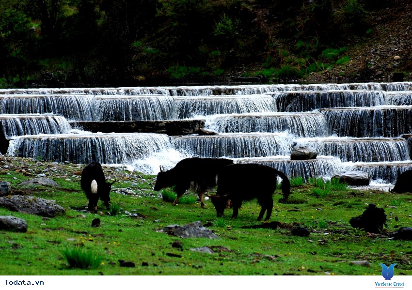 Vườn Quốc Gia Pudaco, Bản Giao Hưởng Của Thiên Nhiên Hình ảnh 7