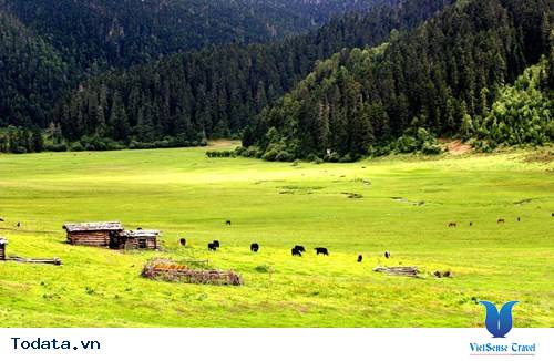 Vườn Quốc Gia Pudaco, Bản Giao Hưởng Của Thiên Nhiên Hình ảnh 1