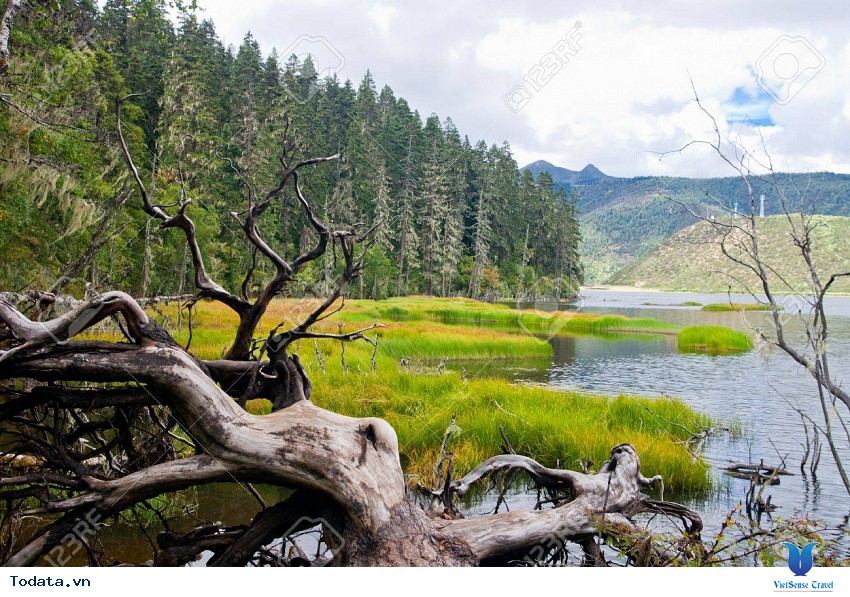 Vườn Quốc Gia Pudaco, Bản Giao Hưởng Của Thiên Nhiên Hình ảnh 9