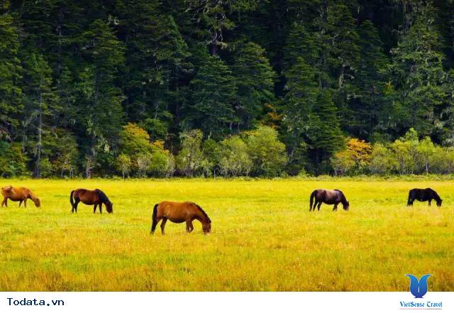 Vườn Quốc Gia Pudaco, Bản Giao Hưởng Của Thiên Nhiên Hình ảnh 8