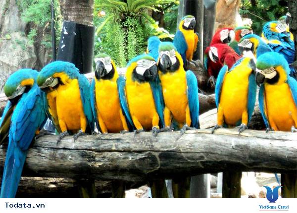 Vườn thú mở tự nhiên của công viên Safari World lớn nhất Châu Á Hình ảnh 1 Vườn thú mở tự nhiên của công viên Safari World lớn nhất Châu Á Hình ảnh 1