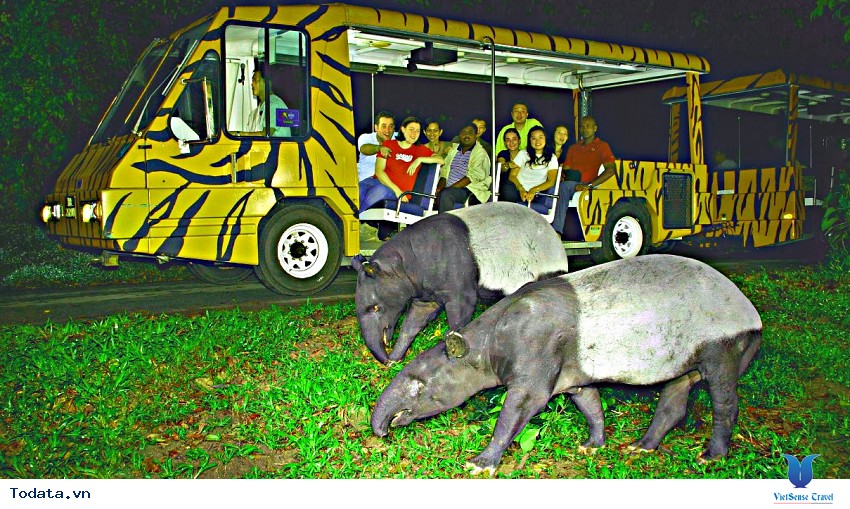 Vườn thú Night Safari, nơi thu hút du khách nhất Hình ảnh 3