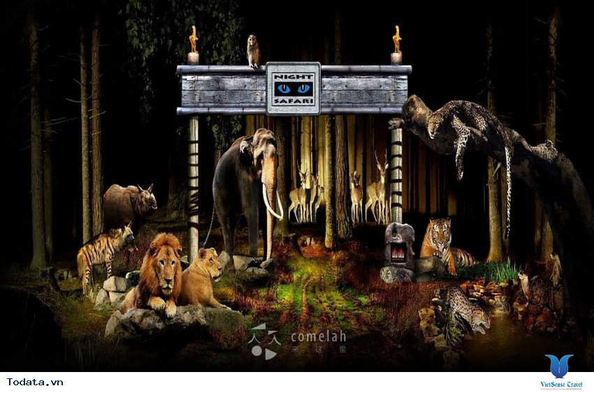 Vườn thú Night Safari, nơi thu hút du khách nhất Hình ảnh 2