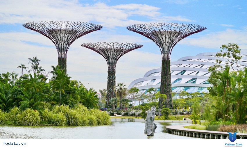 vườn thực vật garden by the bay, khu vườn độc đáo tại Singapore Hình ảnh 2