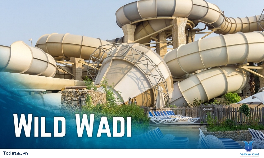Wild Wadi Water Park- Điểm Đến Lý Tưởng Cho Mọi Gia Đình Hình ảnh 2