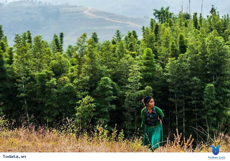 Xanh Mướt Yên Minh Hình ảnh 3