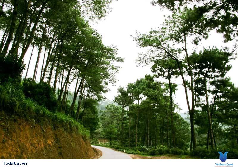 Xanh Mướt Yên Minh Hình ảnh 2