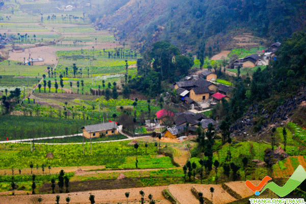 Yên Minh- thảo nguyên yên bình Hình ảnh 4
