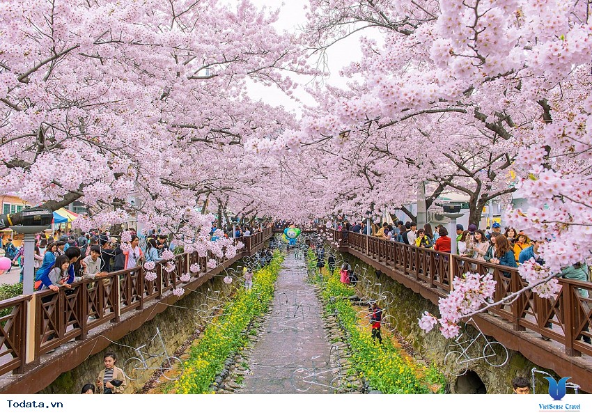 Yeouido- Phố Wall Của hàn Quốc Hình ảnh 1 Yeouido- Phố Wall Của hàn Quốc Hình ảnh 1