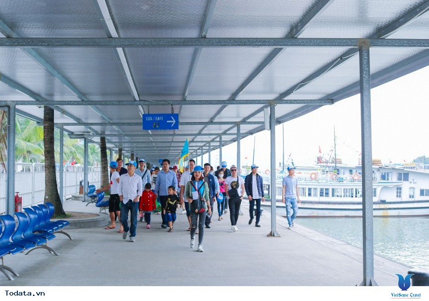 Khám Phá Hạ Long Cùng Công ty Cổ phần Norfolk Hatexco - Ảnh 3