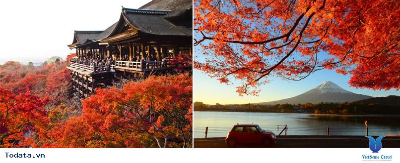 Tour Nhật Bản Mùa Lá Đỏ - Ảnh 1