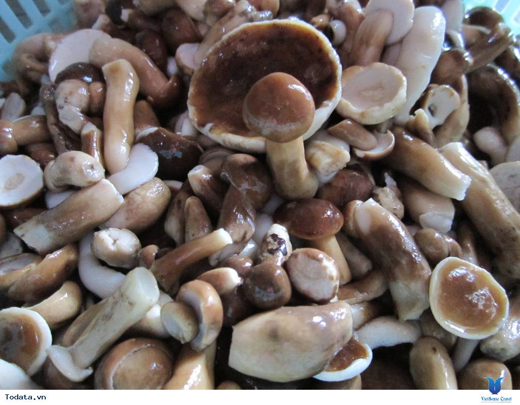 10 đặc sản Phú Quốc mua về làm quà được lòng dân du lịch - Ảnh 9