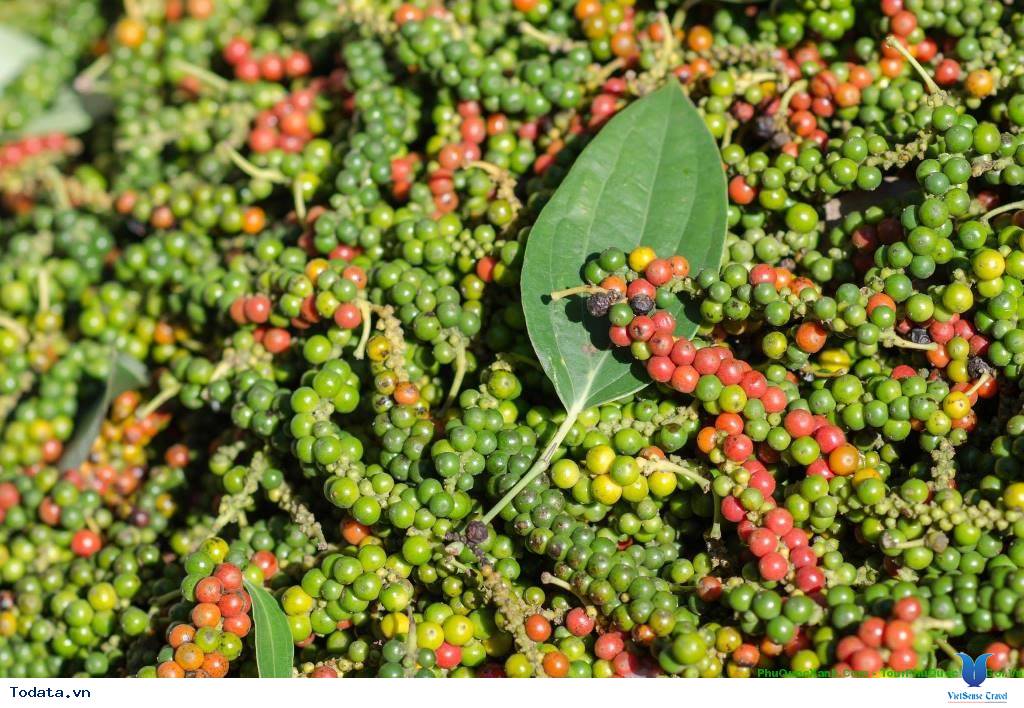 10 đặc sản Phú Quốc mua về làm quà được lòng dân du lịch - Ảnh 16