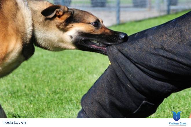 10 hành động khiến bạn bị phạt tiền ở Singapore - Ảnh 5 10 hành động khiến bạn bị phạt tiền ở Singapore - Ảnh 5