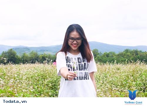 3 Loài Hoa Làm Nao Lòng Phượt Thủ Đà Lạt Những Ngày Tháng 11 - Ảnh 2 3 Loài Hoa Làm Nao Lòng Phượt Thủ Đà Lạt Những Ngày Tháng 11 - Ảnh 2