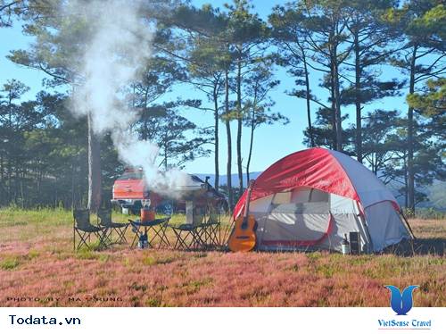 3 Loài Hoa Làm Nao Lòng Phượt Thủ Đà Lạt Những Ngày Tháng 11 - Ảnh 3 3 Loài Hoa Làm Nao Lòng Phượt Thủ Đà Lạt Những Ngày Tháng 11 - Ảnh 3