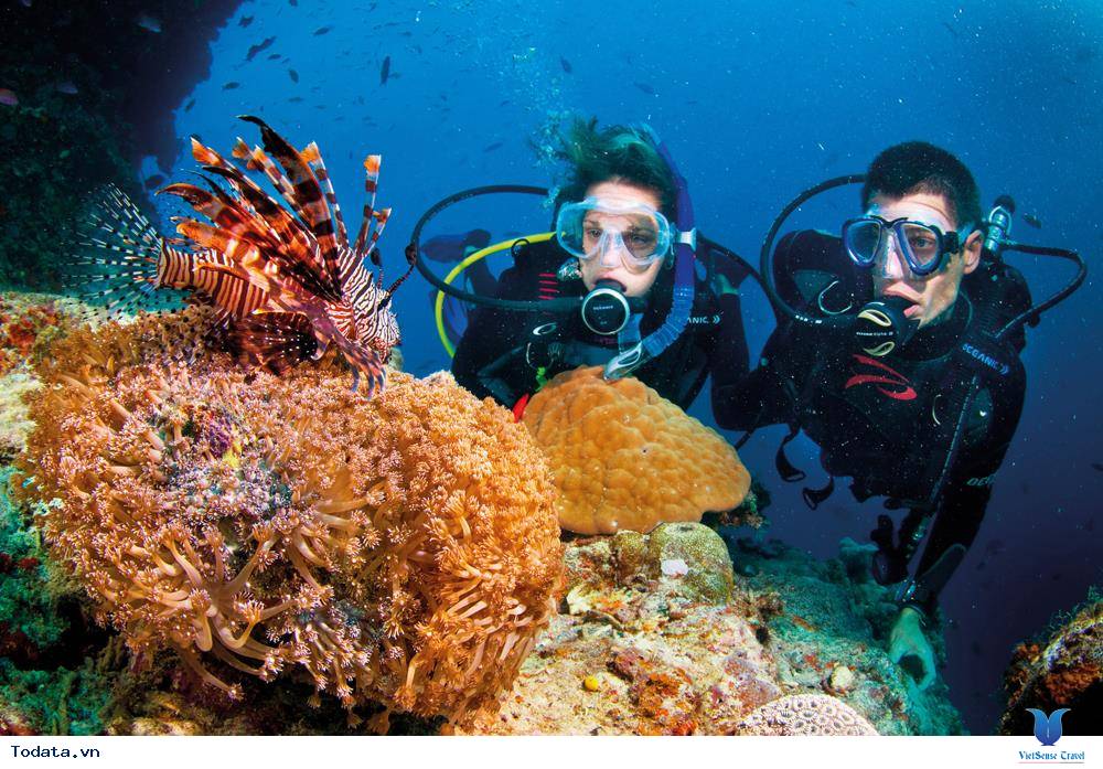 4 điều bạn đặc biệt phải làm khi đi du lịch Phú Quốc - Ảnh 9 4 điều bạn đặc biệt phải làm khi đi du lịch Phú Quốc - Ảnh 9