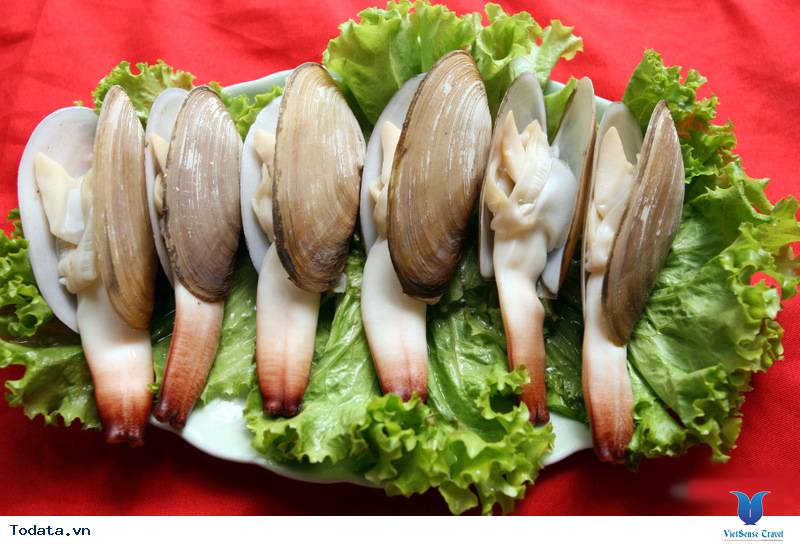 5 Loại Hải Sản Độc Đáo Ở Quan Lạn - Ảnh 4 5 Loại Hải Sản Độc Đáo Ở Quan Lạn - Ảnh 4